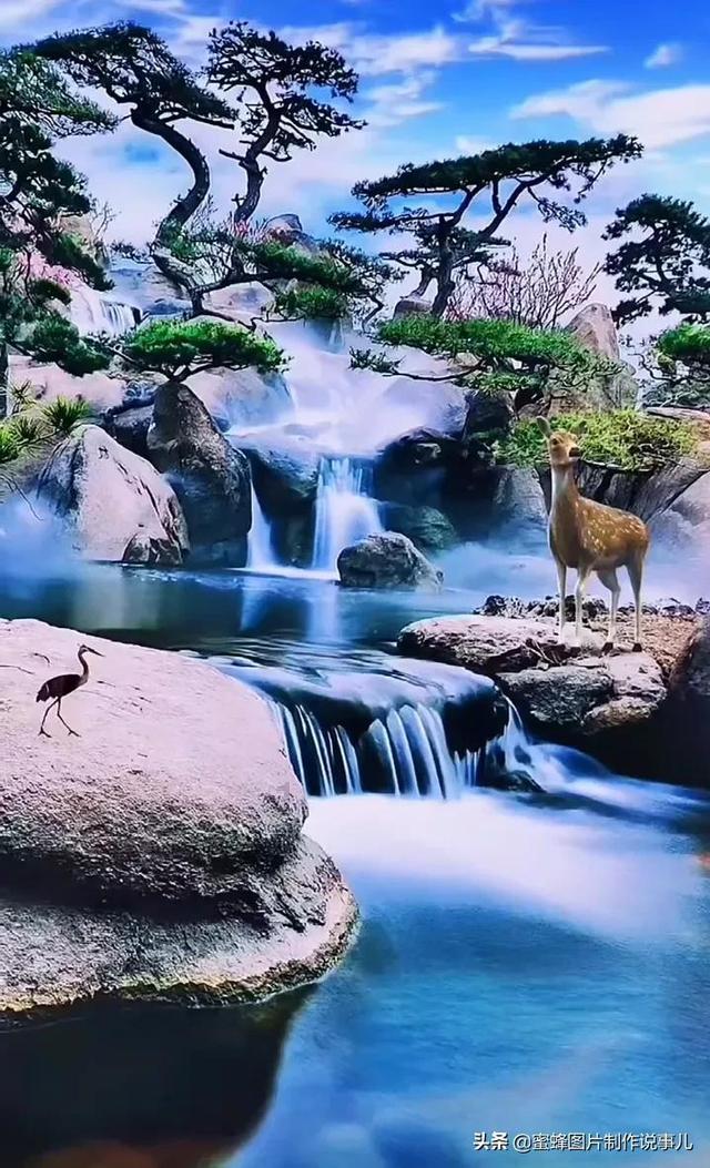 逃离声望森林